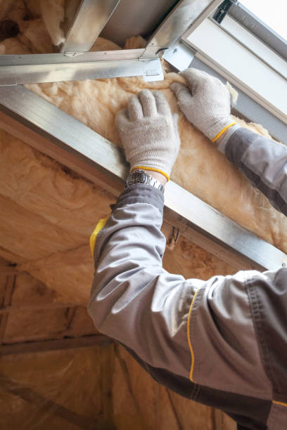 Best Radiant Barrier Insulation  in Holstein, IA